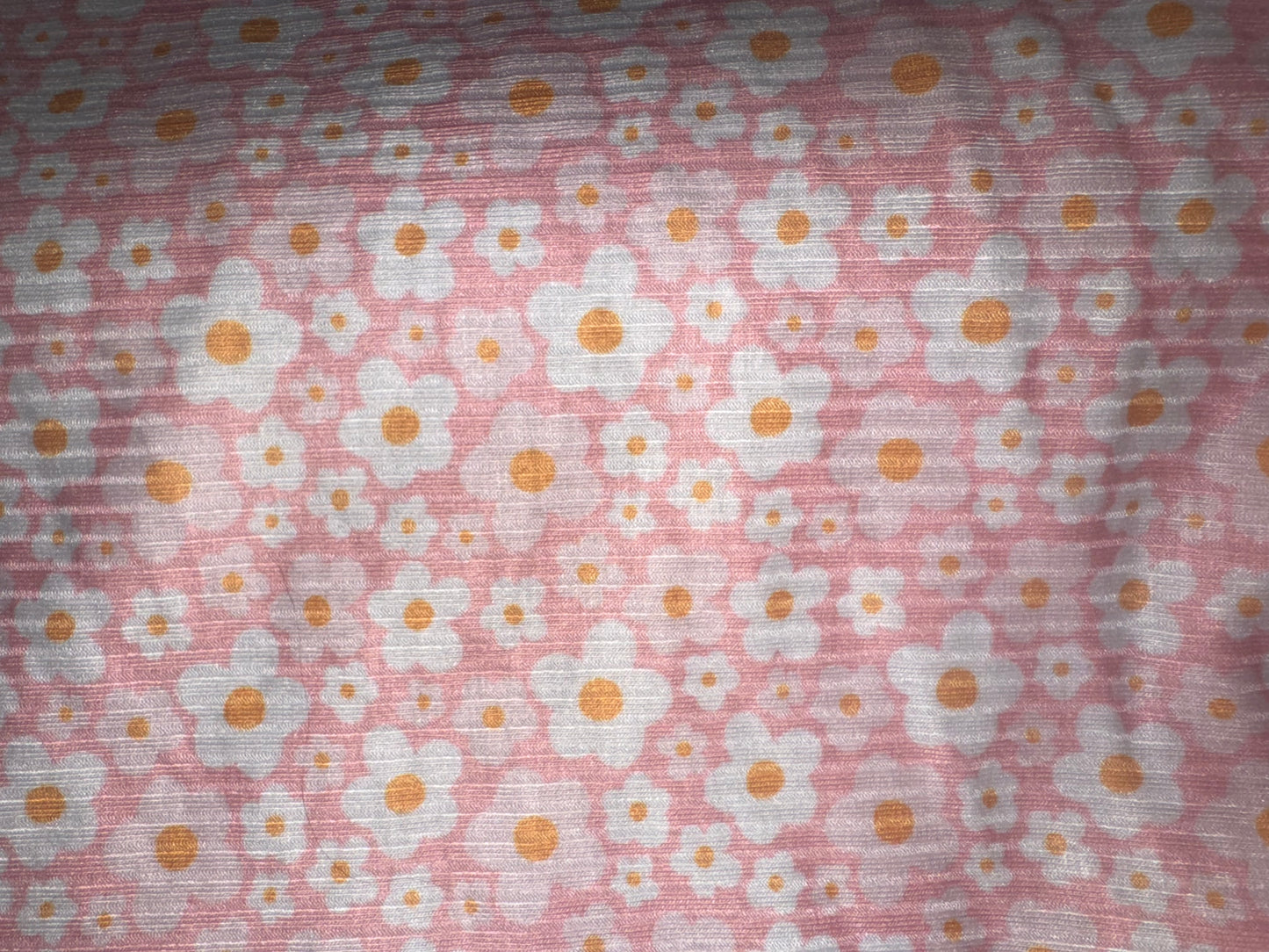 Pink Daisy