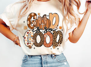 Fall Sweater/Tshirts