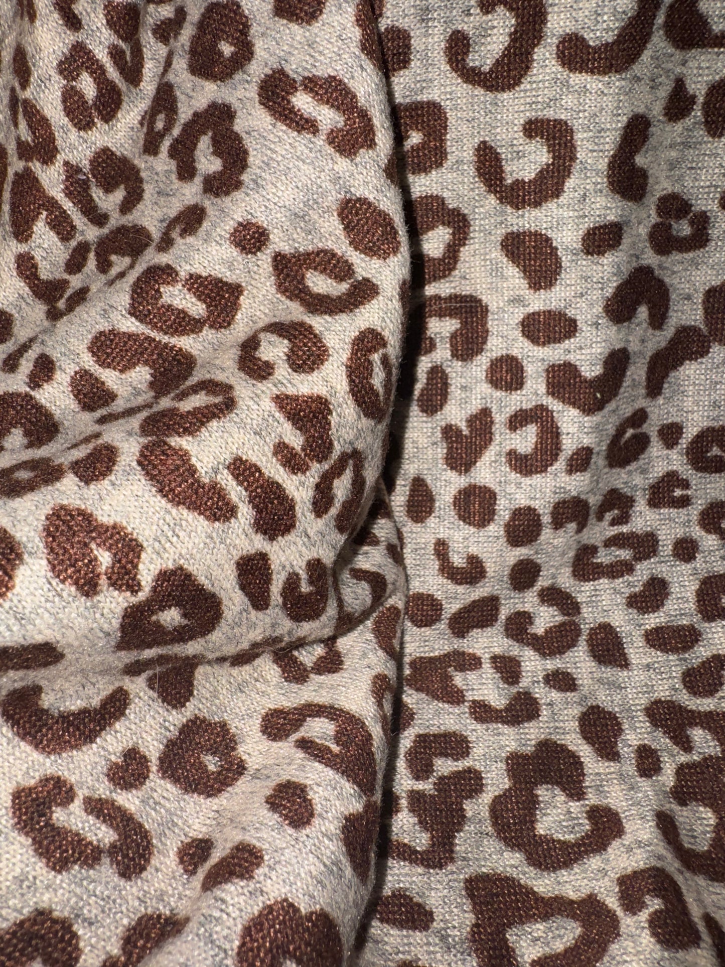 Brown Cheetah